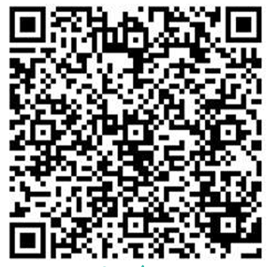 Qr Code Pix